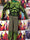 The Hulk Cosplay Halloween Costume for Kids - Save upto 45%