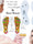 Original Acupuncture Insoles for Back Pain On Sale - Save Upto 65%  Off